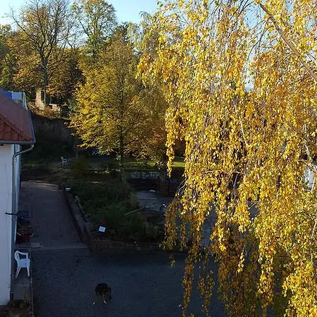 Well-being Gastehaus Stauf Hotel 3*