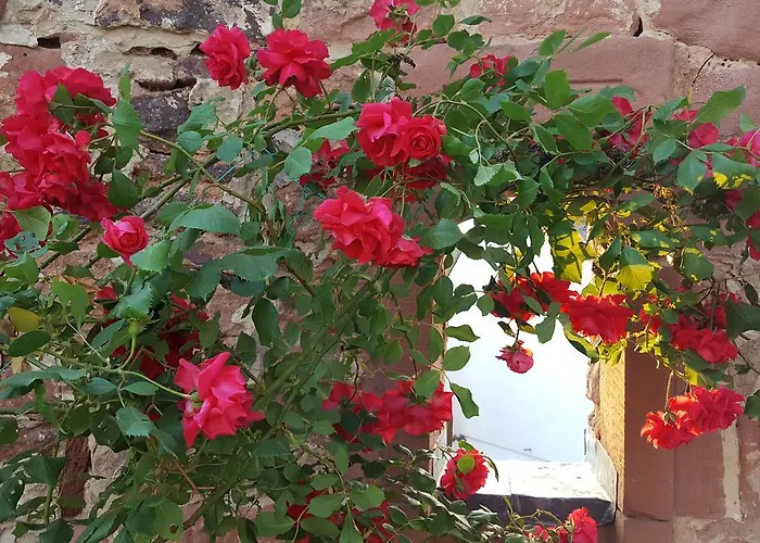 Hotel Well-being Gastehaus Stauf 3*