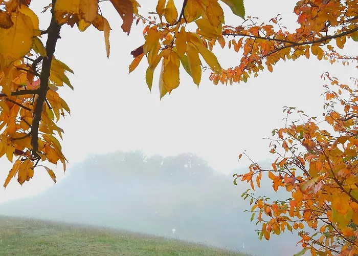 Well-being Gastehaus Stauf Hotel 3*