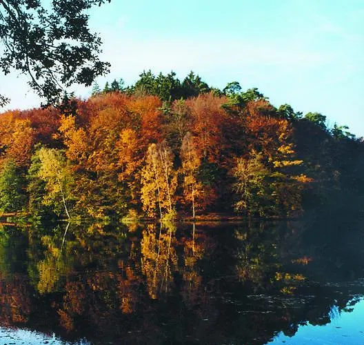 Hotel Well-being Gastehaus Stauf 3*